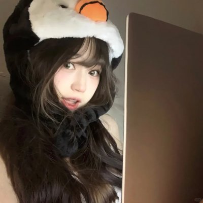 极地漫步